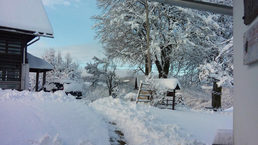 Vila Tourist Farm Ljubica Poljane nad Škofjo Loko Exteriér fotografie
