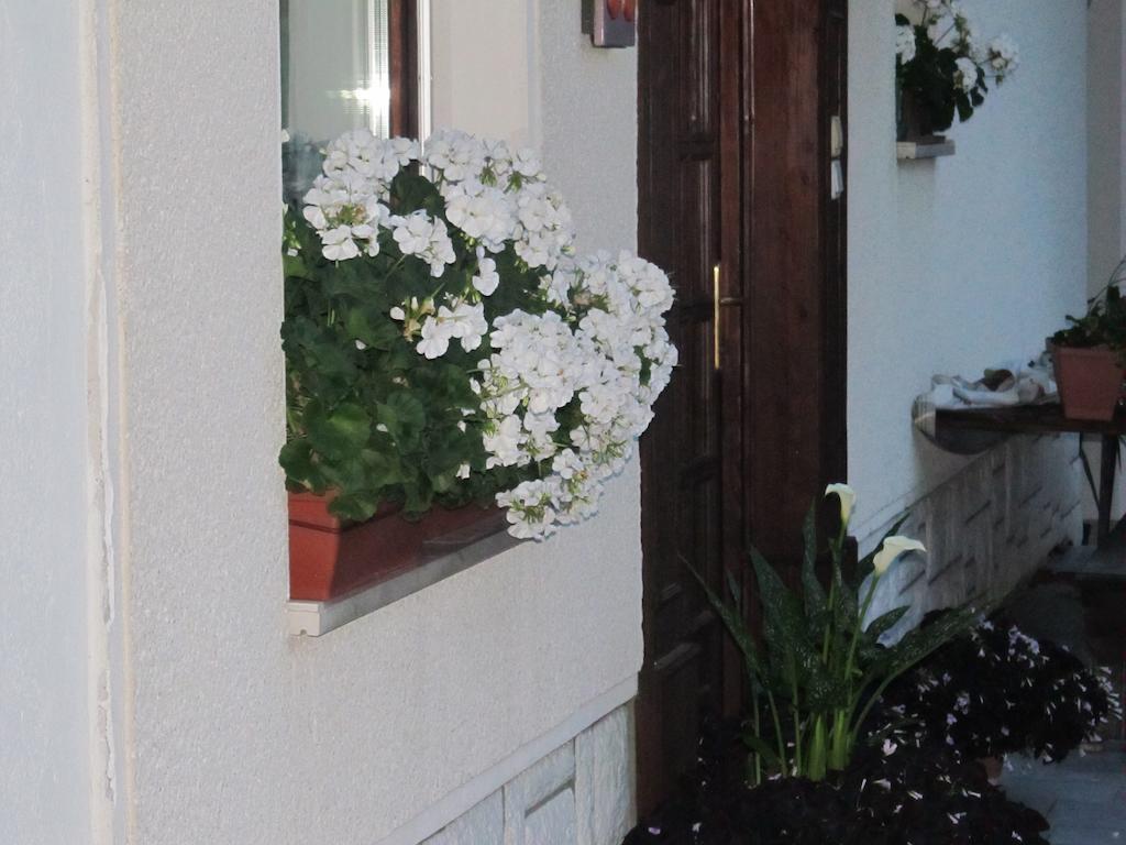 Vila Tourist Farm Ljubica Poljane nad Škofjo Loko Exteriér fotografie