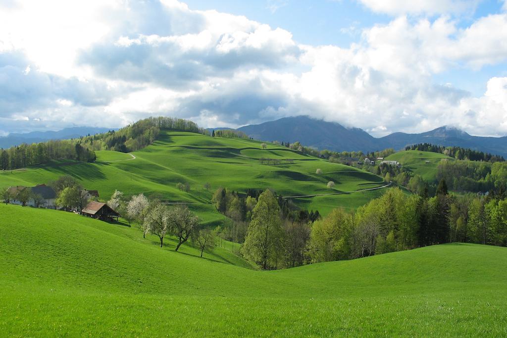 Vila Tourist Farm Ljubica Poljane nad Škofjo Loko Exteriér fotografie