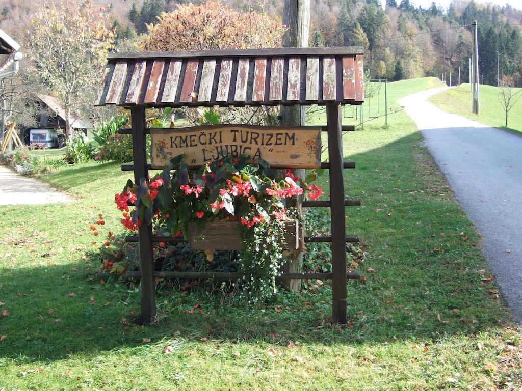Vila Tourist Farm Ljubica Poljane nad Škofjo Loko Exteriér fotografie