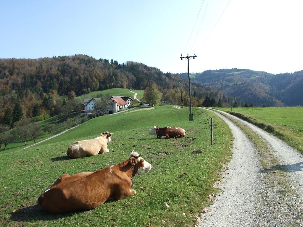 Vila Tourist Farm Ljubica Poljane nad Škofjo Loko Exteriér fotografie