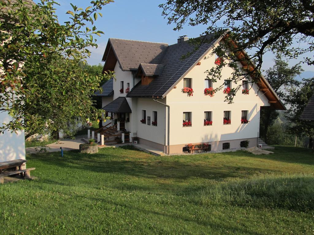 Vila Tourist Farm Ljubica Poljane nad Škofjo Loko Exteriér fotografie
